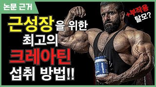 [논문 근거] 근성장을 위한 최고의 크레아틴 섭취법!! Feat. 부작용 - 탈모? - Youtube