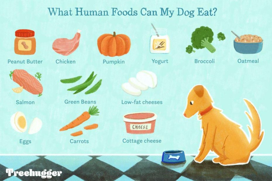 15 Human Foods Dogs Can Eat And 6 They Shouldn'T