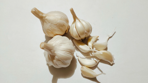 Is Garlic Really That Toxic To Dogs? – The Dog Bakery