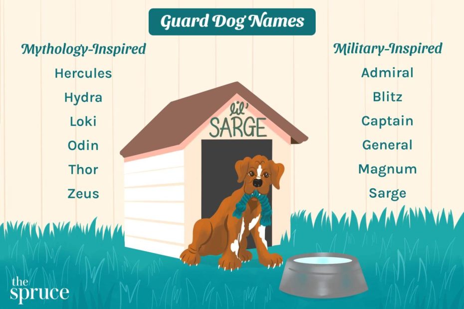 80+ Guard Dog Names