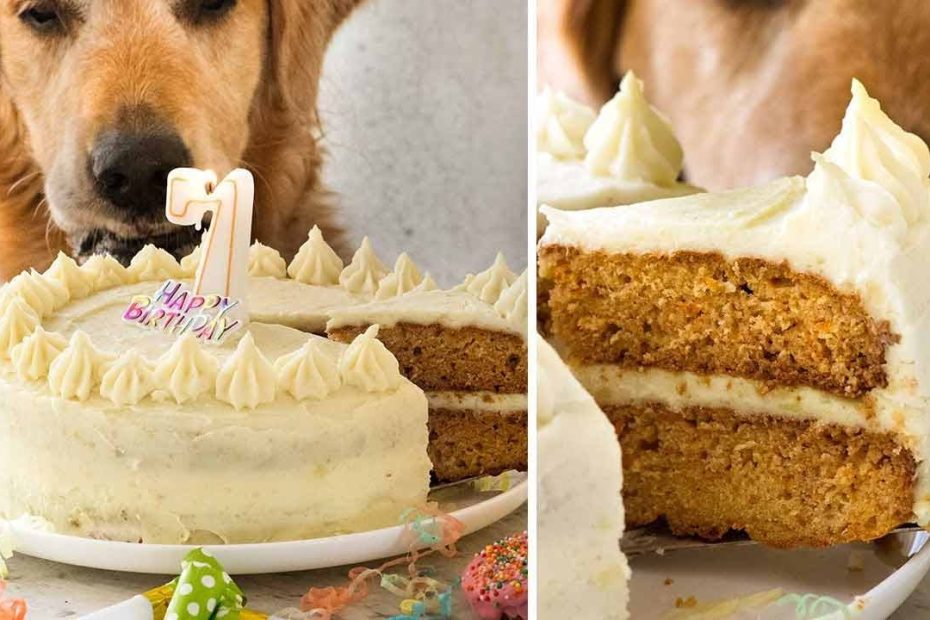 Dog Cake Recipe For Dozer'S Birthday! | Recipetin Eats