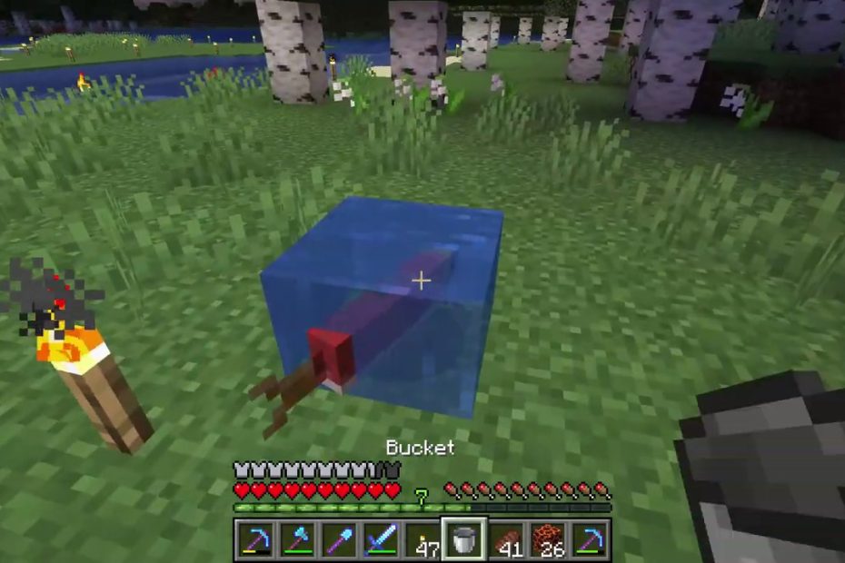 How To Put Fish In A Bucket - Minecraft - Youtube