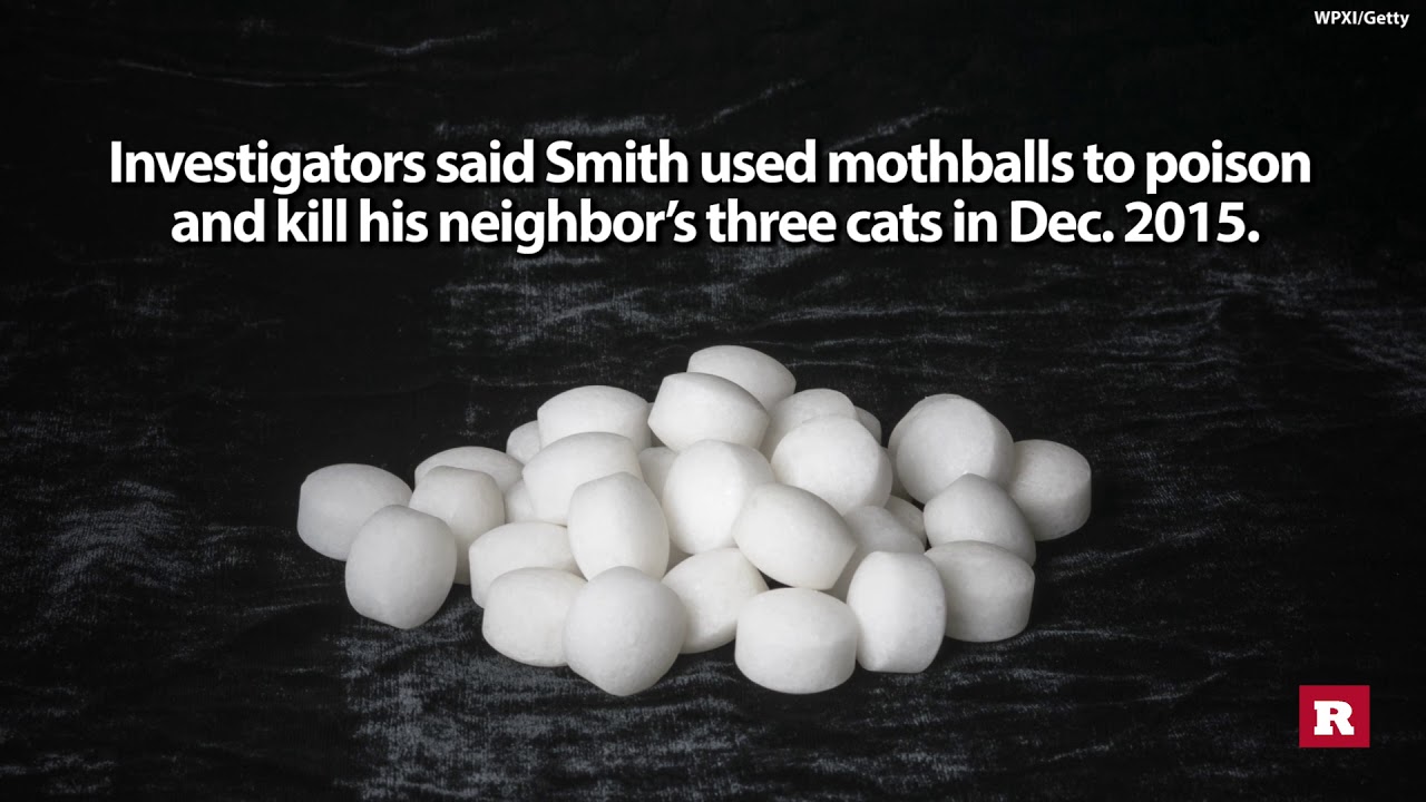 How Do Moth Balls Effectively Deter Cats: A Guide