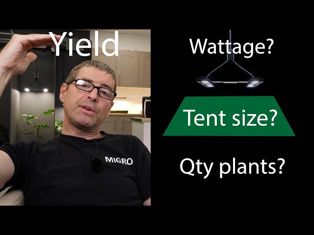 How Much Grow Light Do You Need? Grow Tent Size | Number Of Plants | Yield  Per Watt - Youtube