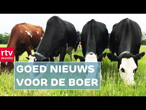 Melkprijs stijgt naar recordhoogte & lintjesregen in Drenthe  | Drenthe Nu