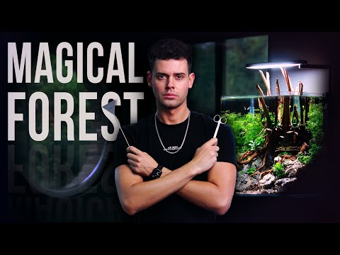 MAGICAL FOREST in a 30 Liter Nano Aquarium