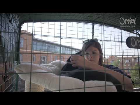 Balkon kattenren | Omlet Huisdieren
